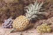 John Sherrin A Pineapple and Grapes on a mossy Bank (mk37) USA oil painting reproduction